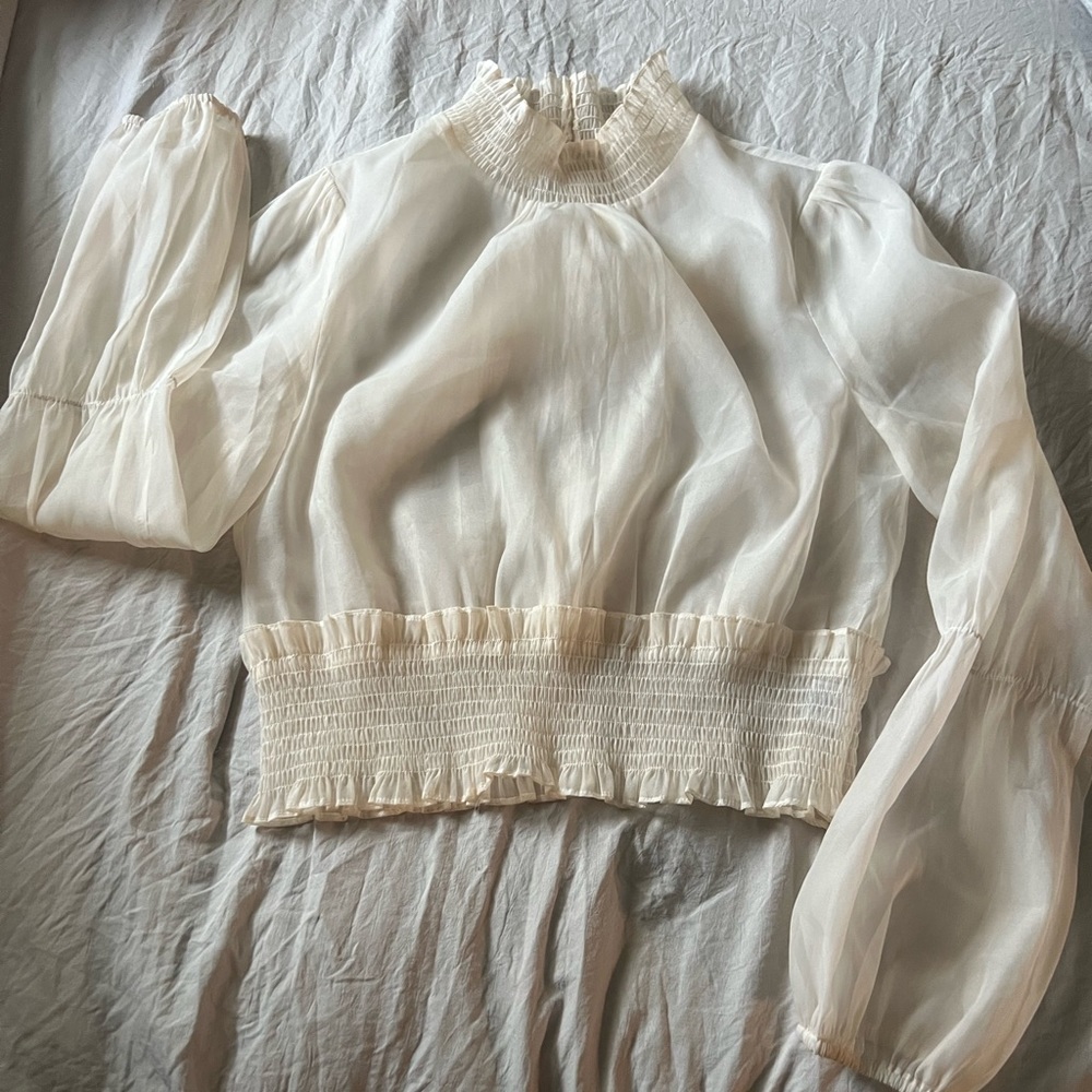 Sheer waist length blouse, size Large
